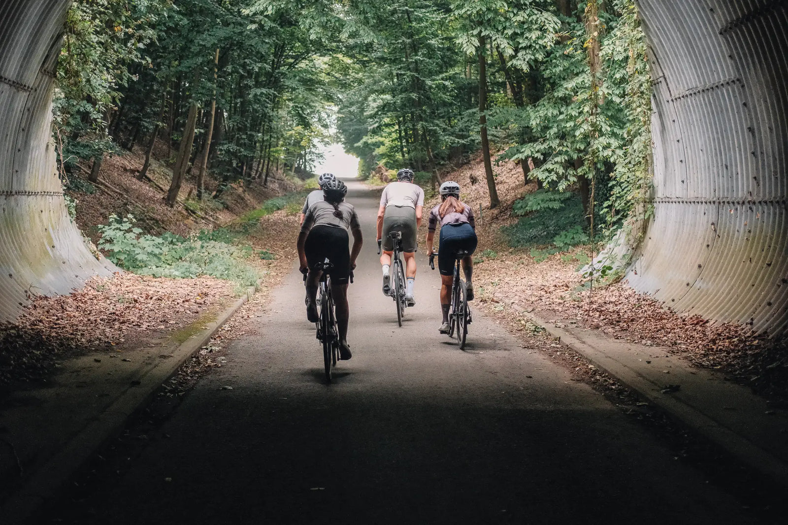 Allroadride. Roadbikeproof.