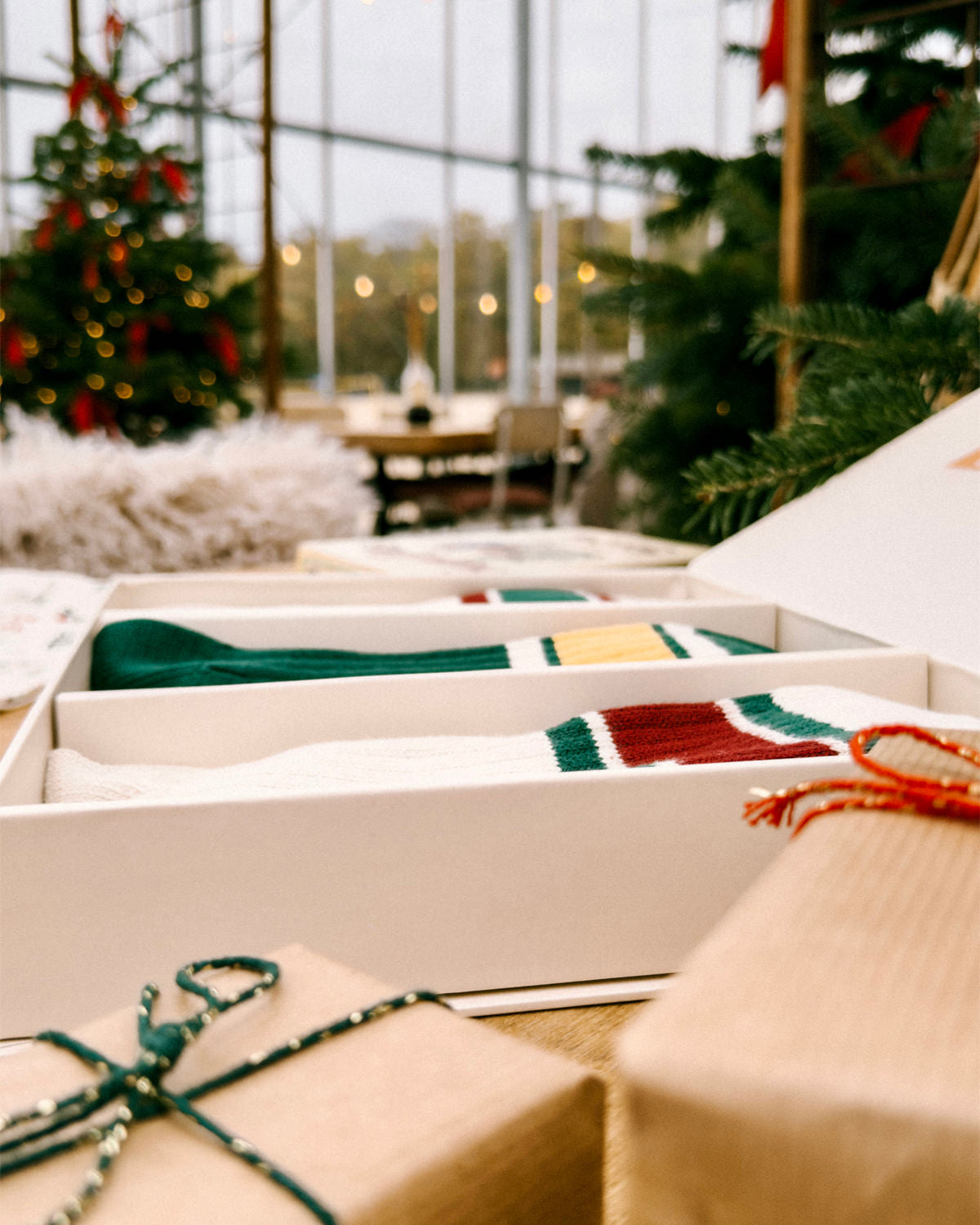 Gift Box - Outdoor Socks