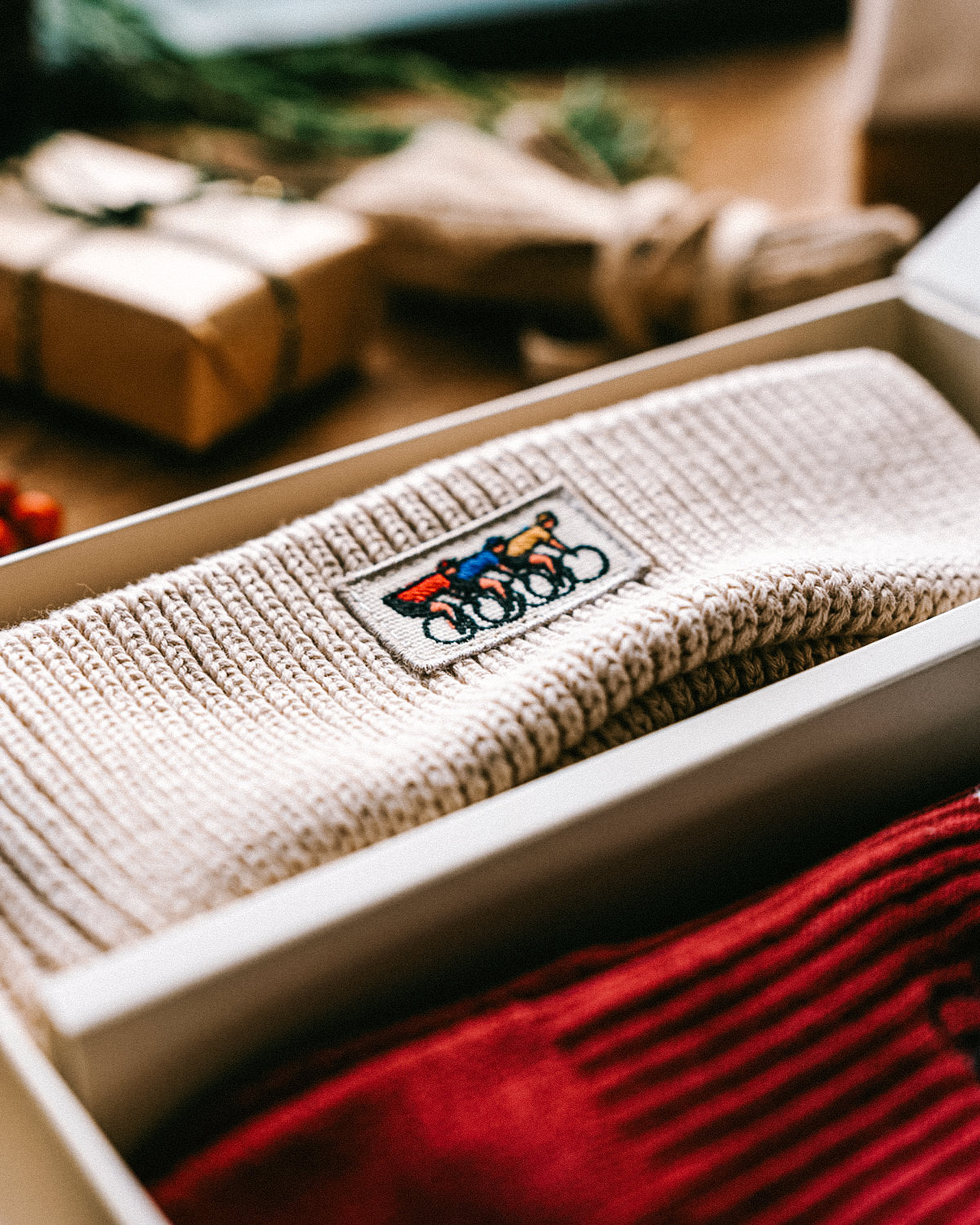 Gift Box - Beanie & 2 Pairs of Socks